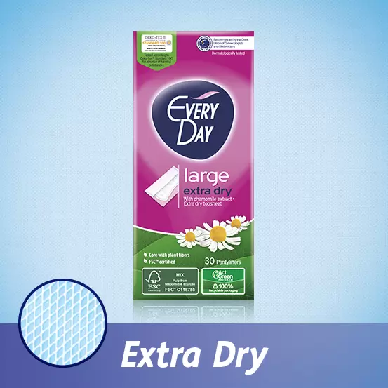 EveryDay Extra Dry Large